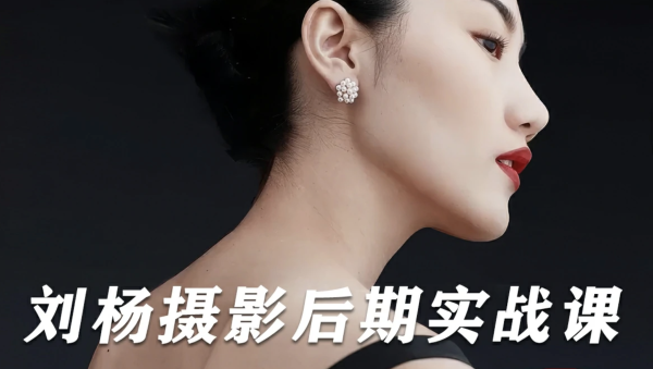 2024最新刘杨调色实战课