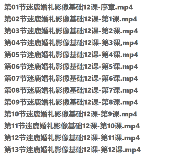 迷鹿婚礼纪实标准化课程（从零开始拍摄婚礼）理论➕实践