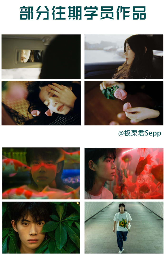 【麻雀大人】情感人像摄影综合训练大课堂
